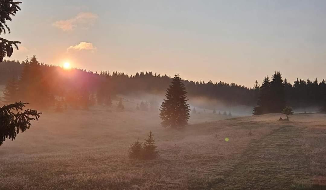 Ubytovani U Krizku Modrava Exterior foto